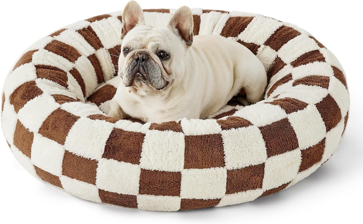 CozyPaw All-Season Bed